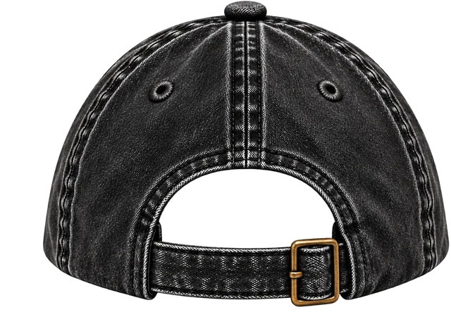 Lost in the Void cap, back